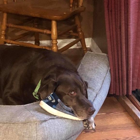 Profile Picture of Dawn Caskey doak (@dawndoak) on Poshmark