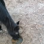 Profile Picture of Colin Morris (@colin.morris.71271) on Facebook