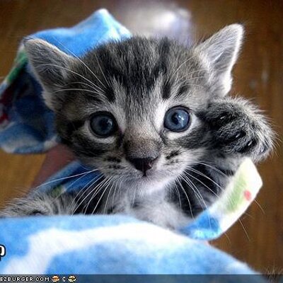 Profile Picture of Jacques Hughes (@lackofgravitas) on Twitter