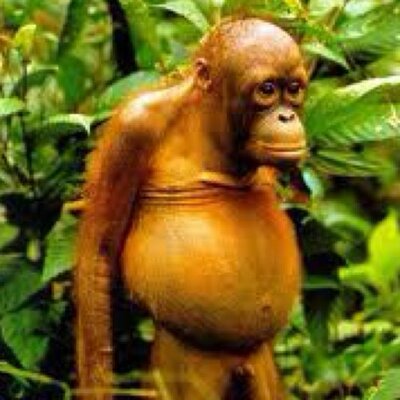 Profile Picture of Nigel Brady (@NigeBrady) on Twitter