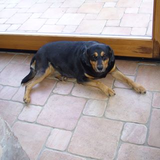 Calvin Dolly - Facebook Profile Picture of Calvin Dolly (@Calvin-Dolly) on Facebook