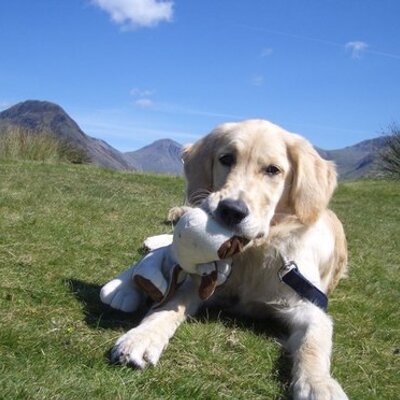 Profile Picture of Me (@andy_telford) on Twitter