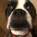 Profile Picture of Craig Peterson (@craig.peterson.31945243) on Facebook