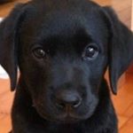 Profile Picture of Chris Beyer (@chris.beyer.5070) on Instagram