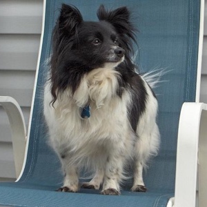 Profile Picture of Larry Thurman (@162124641) on Myspace