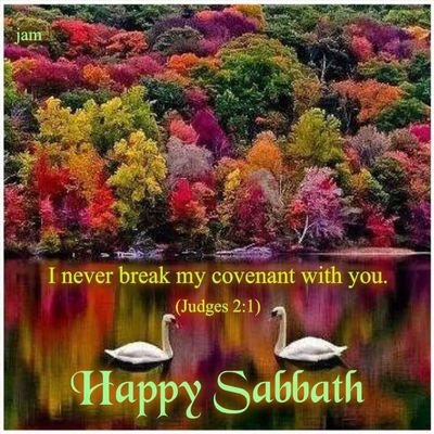 Profile Picture of Hugh Wilkinson (@HughWilkinson11) on Twitter