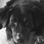 JonathanBrews - Instagram Profile Picture of JonathanBrews (@jonathan_sabola) on Instagram