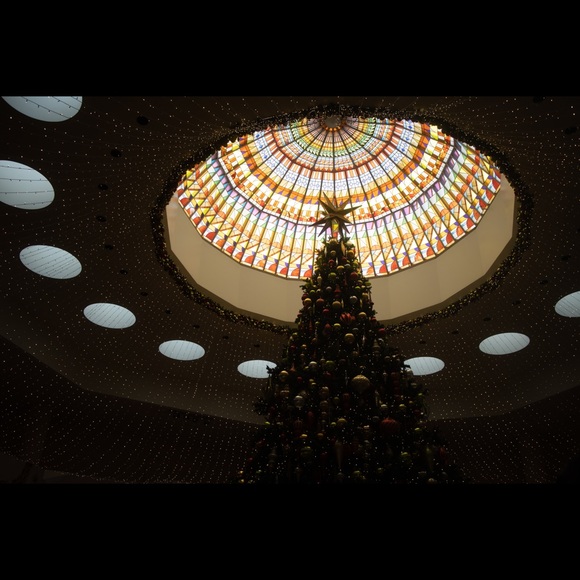 Profile Picture of Vo Tung (@mounty361) on Poshmark