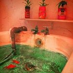 Profile Picture of 吴梦凡 (@felice_amber) on Instagram