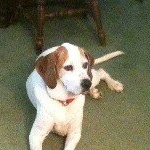 Profile Picture of J Dale Giles (@jdgiles68) on Instagram