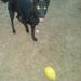 Profile Picture of Les Jones (@seville0408) on Pinterest