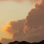 Profile Picture of Jeremy Britt (@wild100slycan) on Instagram