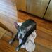 Profile Picture of Robert Baney (@robert.baney.58) on Facebook
