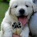 Profile Picture of Claus Kupferschmidt (@claus_kupfersch) on Pinterest