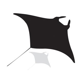 Profile Picture of Manta Trust (@mantatrust) on Instagram