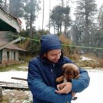 Profile Picture of Amit Rathi (@tapsrathi) on Instagram
