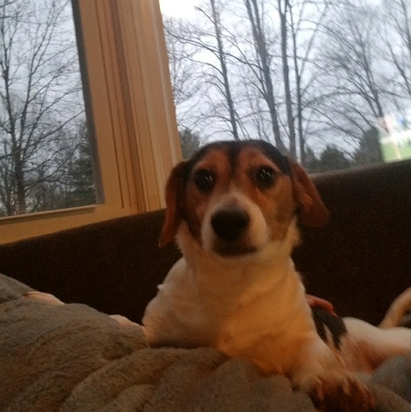 Profile Picture of Kathryn Lewek (@greenmando) on Poshmark