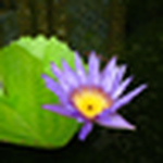 Profile Picture of K Anderson (@kpanderson) on Flickr