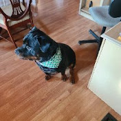 Profile Picture of Matt Steiner (@mattsteiner6166) on Youtube