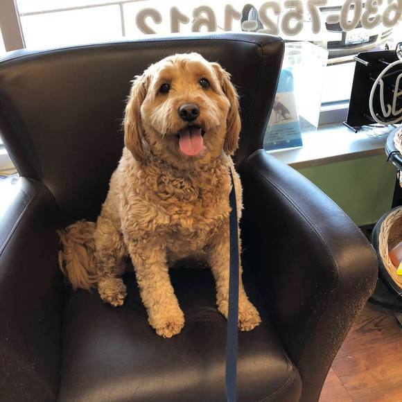 Profile Picture of Dominick Vuolo (@dominick_vuolo) on Poshmark