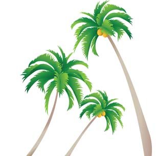 Profile Picture of La Llefianenca (@jackie_mace) on Twitter