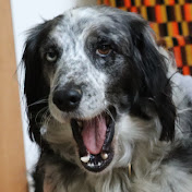 Profile Picture of Quinn Hart (@Quinn_Hart) on Youtube