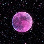 Profile Picture of Nancy Y (@nancy_yanyu) on Instagram