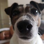 Profile Picture of Lenny Bates-McConnachie (@losing_the_lard_with_lenny) on Instagram