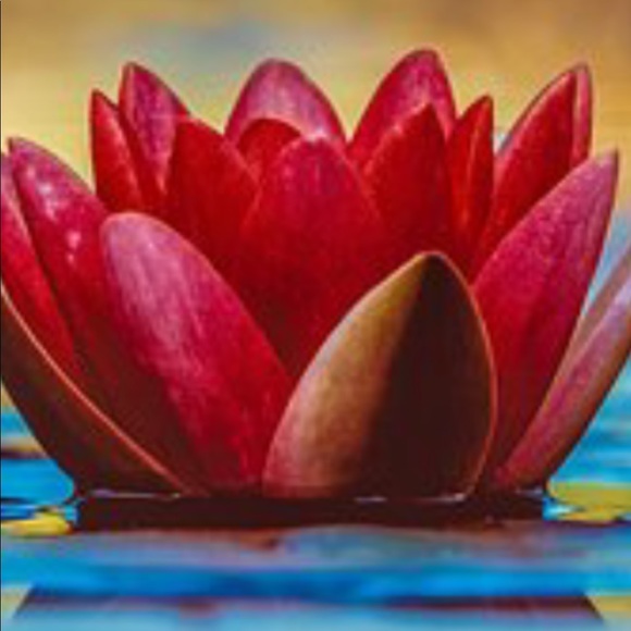 Nikki Holmes - Poshmark Profile Picture of Nikki Holmes (@nikki662) on Poshmark