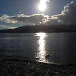 Profile Picture of Michael Windross (@mc_kidney) on Instagram