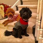 Profile Picture of Annette Eldredge Dalling (@annette_dalling) on Instagram