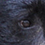 Profile Picture of Raskalan (@raskalan) on Flickr