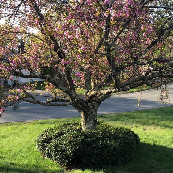 Profile Picture of Jake Tucci (@jakettucci) on Poshmark