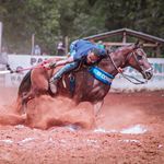 Profile Picture of Wilkener Alencar (@adv.wilkeneralencar) on Instagram