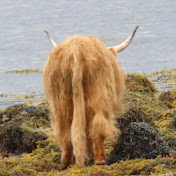 Profile Picture of Martin Wallis (@martinwallis7323) on Youtube