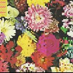 Profile Picture of jared meredith (@jared.meredith) on Instagram