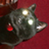 Profile Picture of John Woolf (@John Woolf) on Flickr