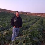 Profile Picture of Octavio Arroyo (@octavio.arroyo.7528) on Instagram