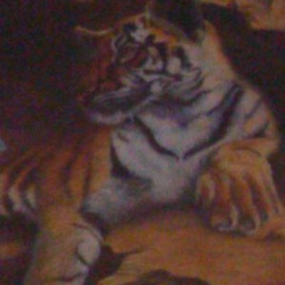 Profile Picture of Dulce Medina (@dulcemedina345) on Twitter