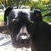 Profile Picture of Wendy Custer (@wendy.custer.9) on Facebook