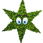 Profile Picture of Mark Anthony Brewer (@4startattooaftercare) on Flickr