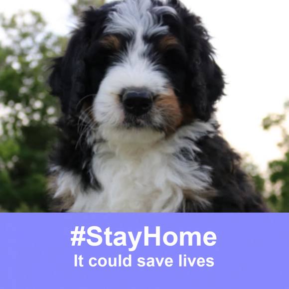 Profile Picture of Kaitlyn Capalbo (@bittybearbear) on Poshmark