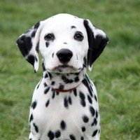 Profile Picture of Grace Cramp (@grace-cramp) on Quora