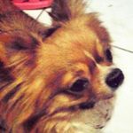 Profile Picture of gregory_cute (@gregory_cute) on Instagram