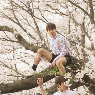 Profile Picture of Kim Fadel (@FadhelHakim1) on Twitter