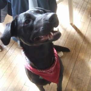 Profile Picture of Lily Lechien (@306242351) on Myspace