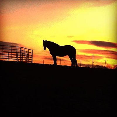 Profile Picture of Laura (@kool2school) on Twitter