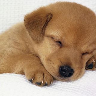 Crystal Paine - Facebook Profile Picture of Crystal Paine (@crystal.paine.7) on Facebook