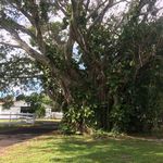 Catherine Chartrand - Instagram Profile Picture of Catherine Chartrand (@catherinechartrand) on Instagram