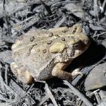 Profile Picture of John Duvall (@duvall3490) on Instagram